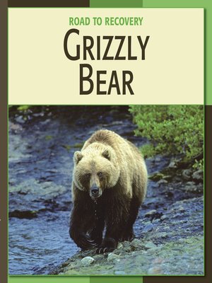 cover image of Grizzly Bear